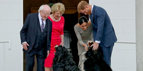 KRALİYET AİLESİNİN YENİ ÜYESİNİN İSMİ BELLİ OLDU!