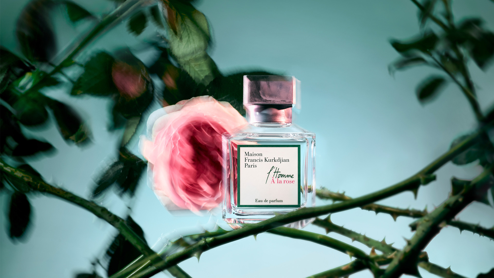 Р”СѓС…Рё Maison Francis Kurkdjian Rose