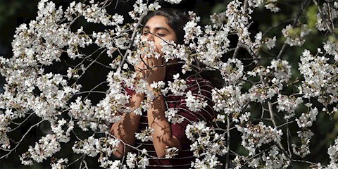 DOĞAYA YAKIN YAŞAMAK ÖMRÜ UZATIYOR