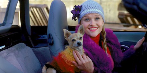 LEGALLY BLONDE 3 GELİYOR!