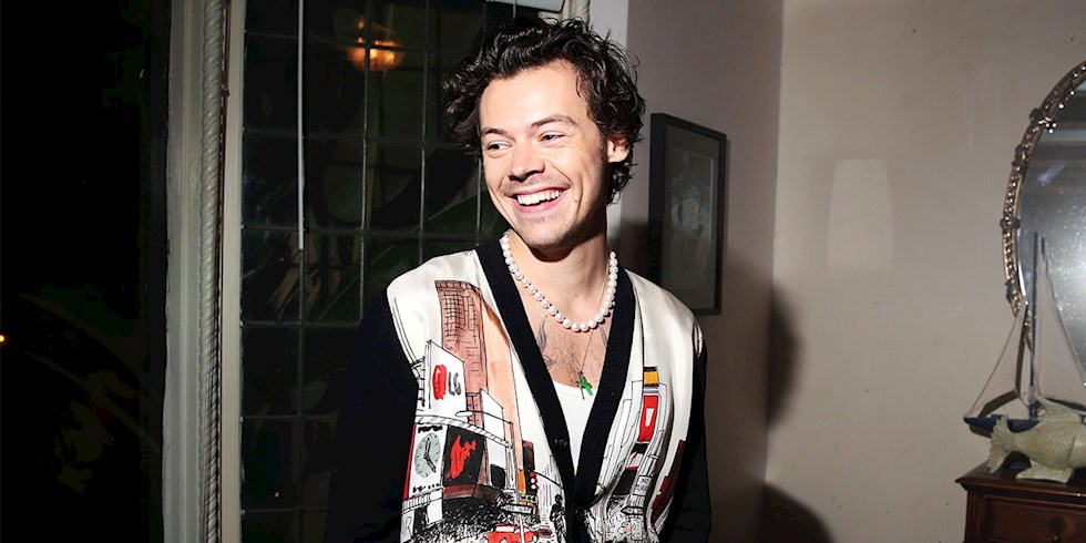 HARRY STYLES EKRANLARA DÖNÜYOR