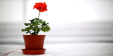 10 ADIMDA EKOLOJİK AYAK İZİNİZİ AZALTIN 