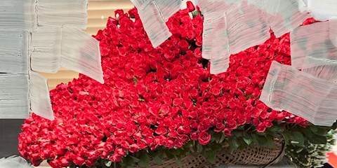 GÜL NOTALI EN İYİ 30 KOKU