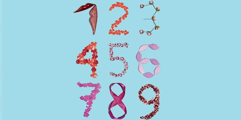 NUMEROLOJİ: SAYILARIN GÜCÜYLE ENERJİNİZİ KEŞFEDİN