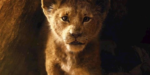 YENİ BİR ASLAN KRAL FİLMİ GELİYOR!