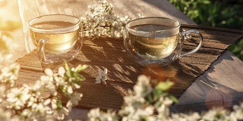 KİRAZ SAPI ÇAYININ FAYDALARINI BİLİYOR MUSUNUZ?