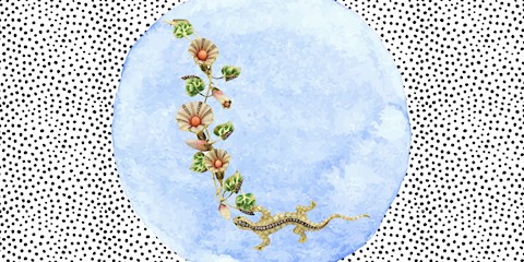 AIDA BERGSEN'İN BROŞ TASARIMI CHRISTIE'S MÜZAYEDESİNDE