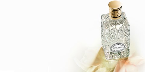 DOĞAYA ÖVGÜ: ETRO WHITE MAGNOLIA