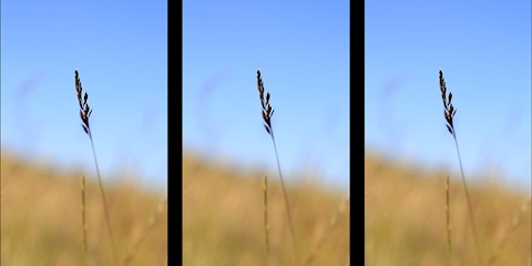 Yenilenme, Odaklanma Ve Yeniden Keşfetme İçin Bir Yolculuk