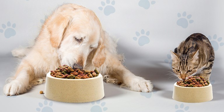 PROFİLO’DAN 4 NİSAN SOKAK HAYVANLARI GÜNÜ’NE ÖZEL MAMA BAĞIŞI