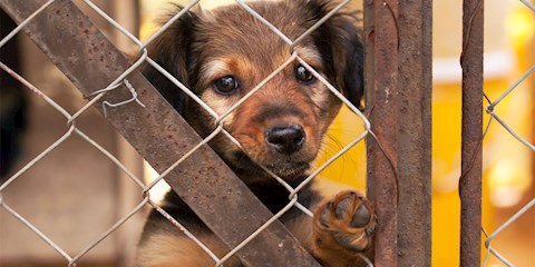 BİR İYİLİK HAREKETİ : MAMA KUMBARASI 