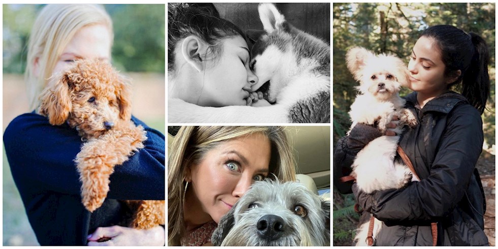 LADY GAGA'DAN JENNIFER ANISTON'A SOSYAL İZOLASYONDA ÜNLÜLER VE KÖPEKLERİ