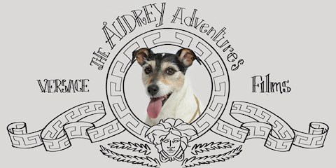 VERSACE’NİN YENİ KAMPANYASINDA TATLI BİR SÜRPRİZ VAR