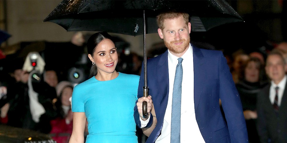 SUSSEX ÇİFTİ BİR ZOOM DERSİNE KATILDI