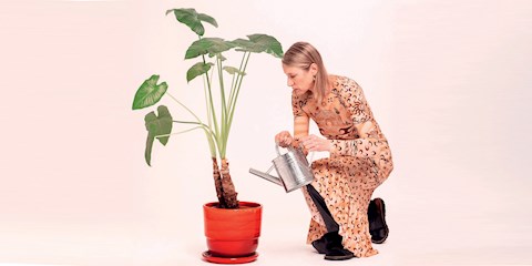 İKLİM POZİTİF LÜKS 