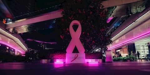 ZORLU AVM, ESTÉE LAUDER ŞİRKETLERİ PEMBE KURDELE HAREKETİ KAPSAMINDA PEMBEYE BÜRÜNDÜ 