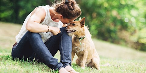 4 EKİM HAYVANLARI KORUMA GÜNÜ 