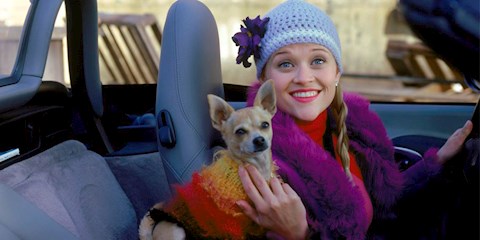 MUTLULUK GARANTİLİ 20 FİLM ÖNERİSİ