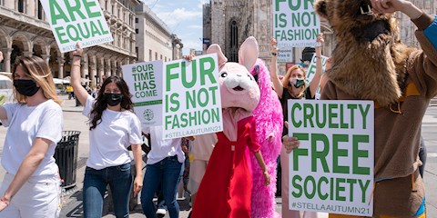 ÜNLÜLER STELLA MCCARTNEY’NİN ANTİ-KÜRK KAMPANYASINA KATILDI