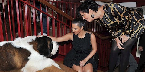 KIM KARDASHIAN YAVRU KÖPEKLERİNİN İSMİ İÇİN YARDIM İSTİYOR