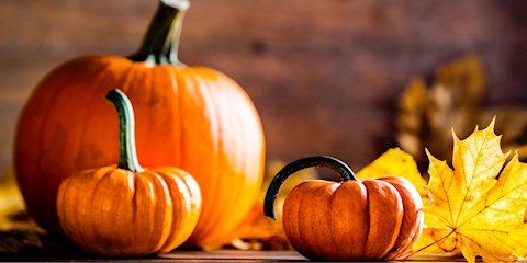 SONBAHARIN VAZGEÇİLMEZİ BAL KABAĞININ BİLİNMEYEN FAYDALARI