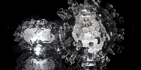 ‘SÜRÜ BAĞIŞIKLIĞI’ HAKKINDA BİLMENİZ GEREKENLER