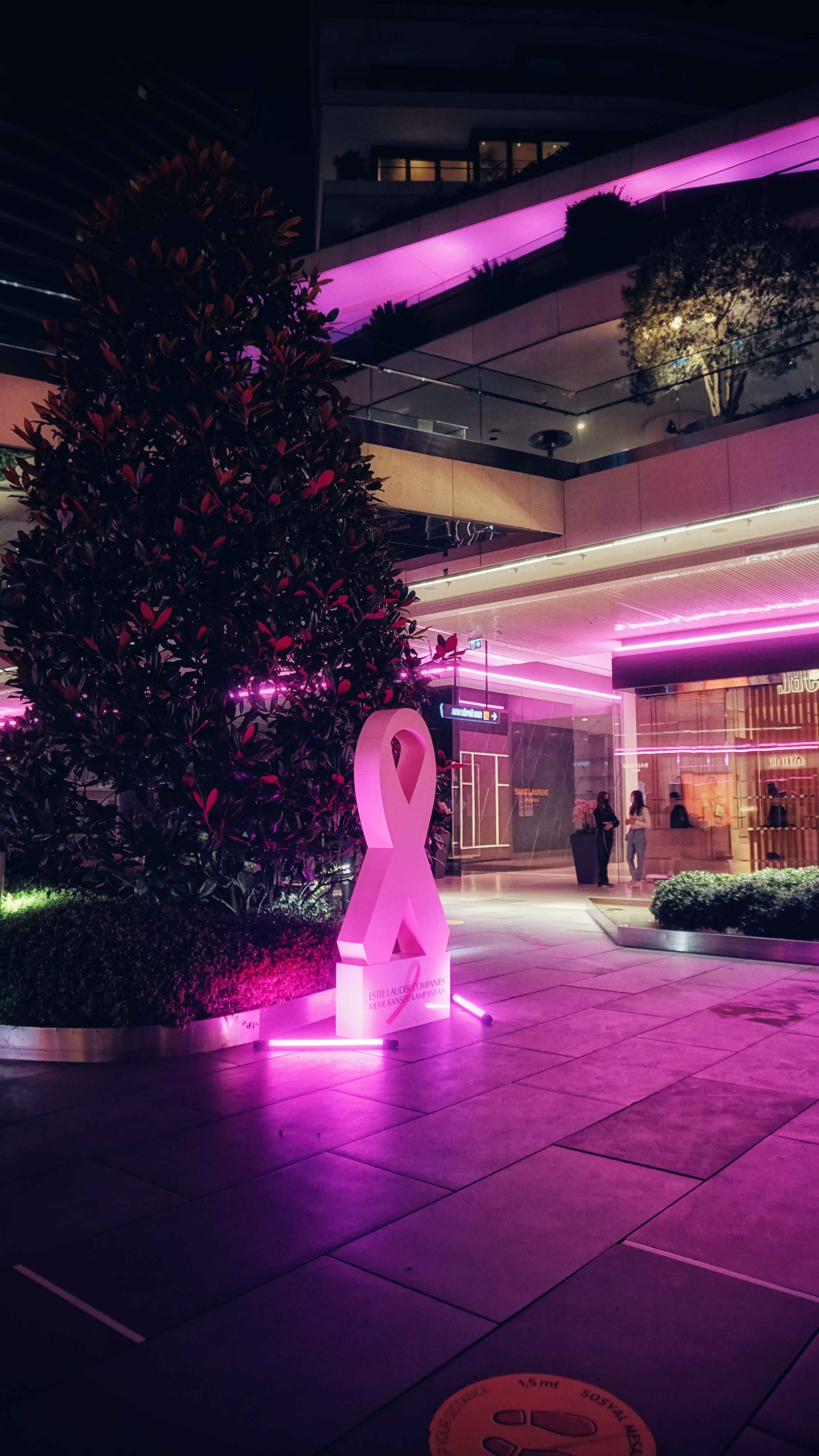 Zorlu Avm Turned In Pink Through The Estee Lauder Companies Pink Ribbon Movement Esiznews