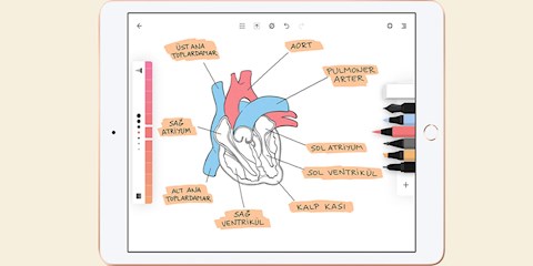 iPad İLE OKULA DÖNÜŞ