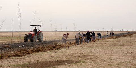 YVES ROCHER VAKFI 30 BİN AĞAÇ DİKİYOR!