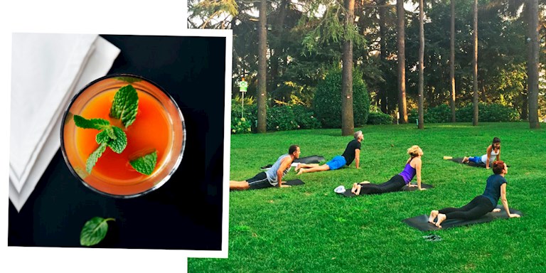 SWISSOTEL İLE GREENERY WEEKENDS