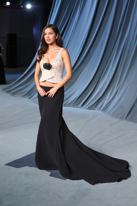 Academy Museum Gala 2025: Hollywood’un Yıldızları ve Moda Dünyası Los Angeles’ta Buluştu / 19