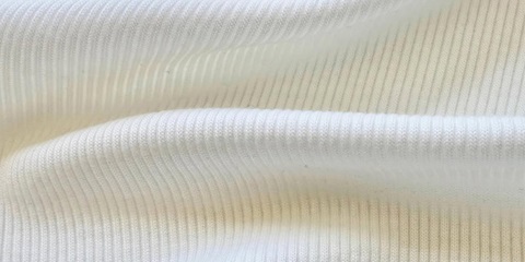 Portakal Kabuğundan Moda