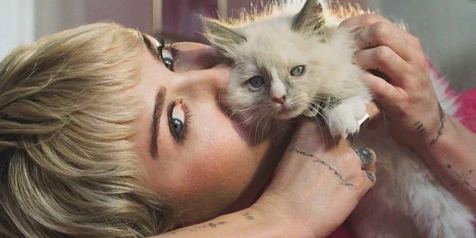 Modern Kent Yaşamında Kedilerle Kurulan Bağ