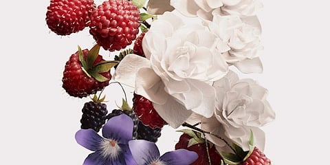 Parfümerinin Yeni Baştan Çıkarma Kodu: Ahududu Notaları