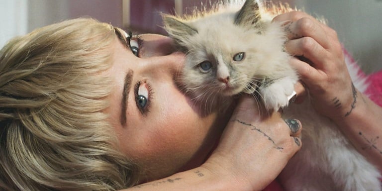 Modern Kent Yaşamında Kedilerle Kurulan Bağ