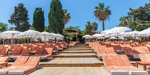 Guess ve Yuzu Beach’ten Yaz Sezonuna Özel İş Birliği