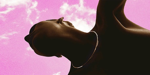 Venüs Burcuna Göre Sen Kimsin?