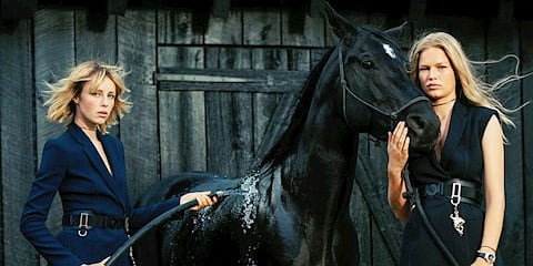 Ateş Atı Yılında Bizi Neler Bekliyor?