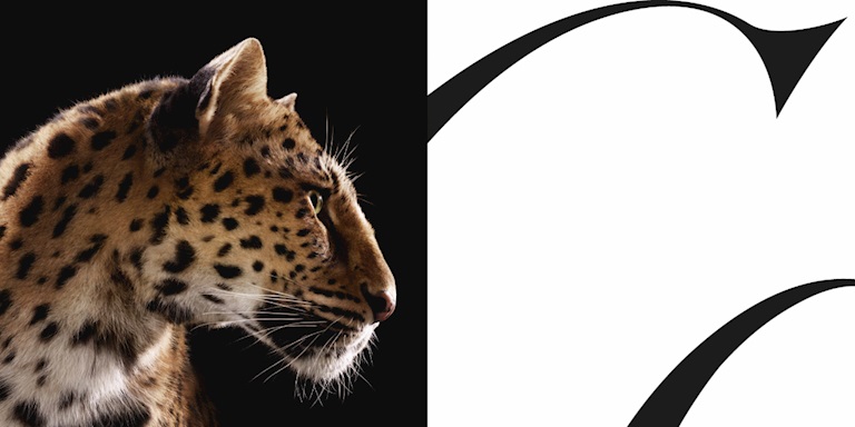 Cartier’nin Panter Figürü Küresel Şehirlerde Yeni Bir Görsel Anlatı Kuruyor